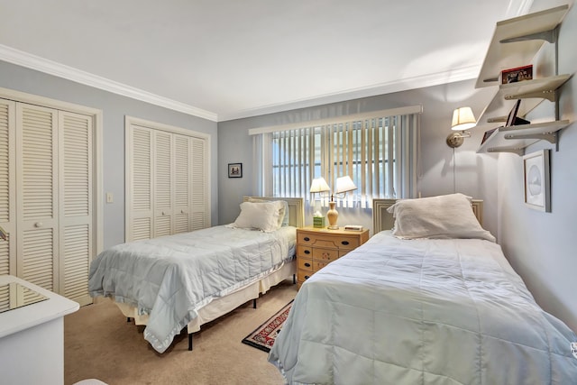 bedroom featuring ornamental molding, carpet floors, and multiple closets