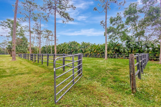 view of yard with a rural view