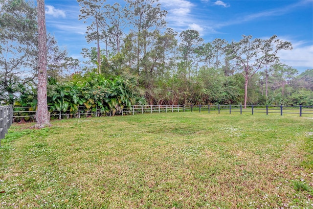 view of yard with a rural view