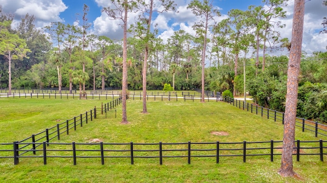 view of yard featuring a rural view