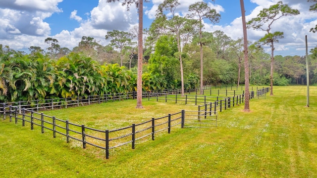 view of yard with a rural view