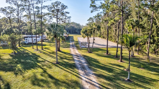 view of home's community with a lawn