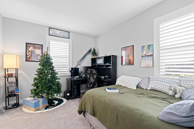 bedroom with carpet floors