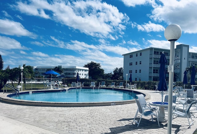 view of pool featuring a patio