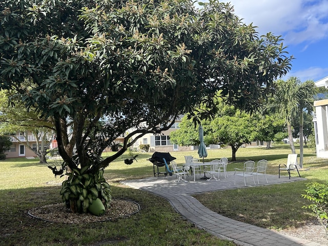 view of home's community with a yard and a patio