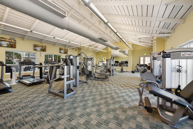 workout area featuring carpet flooring, rail lighting, and high vaulted ceiling