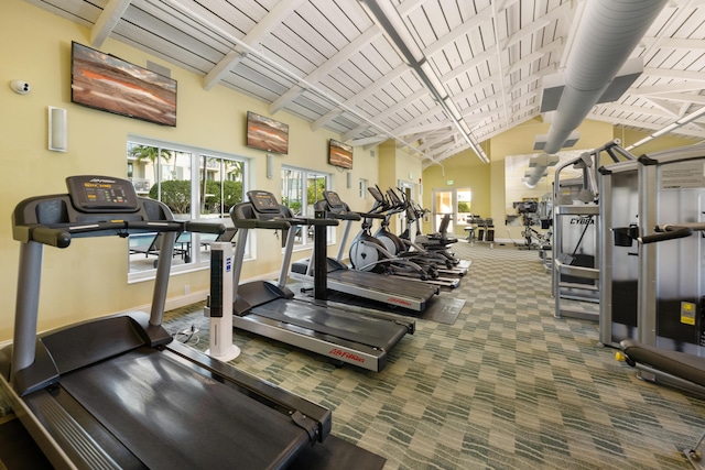 gym featuring carpet floors and lofted ceiling