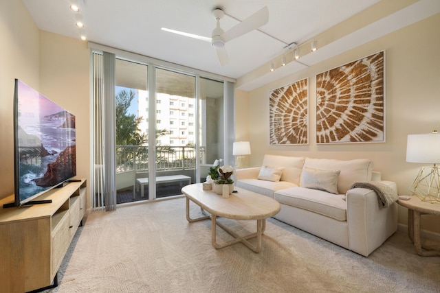 carpeted living room with ceiling fan, a wall of windows, and rail lighting