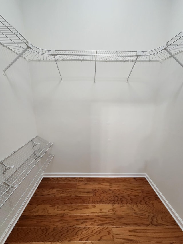 walk in closet with wood-type flooring