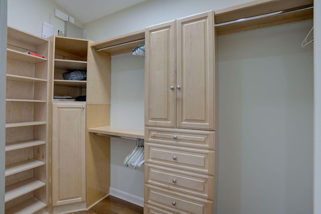 walk in closet with wood-type flooring