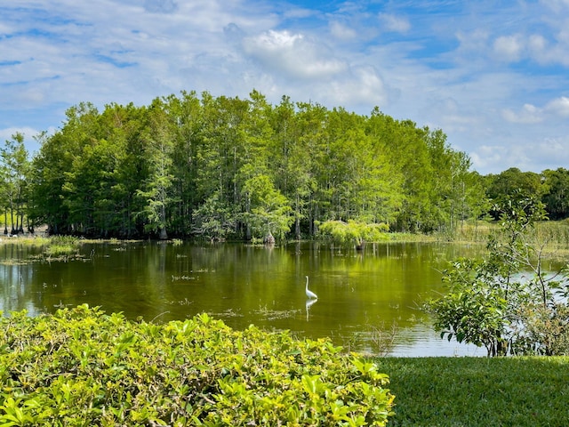 view of water feature