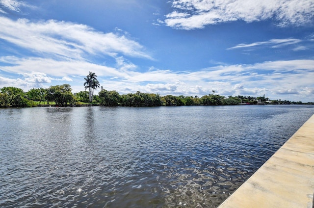 view of water feature