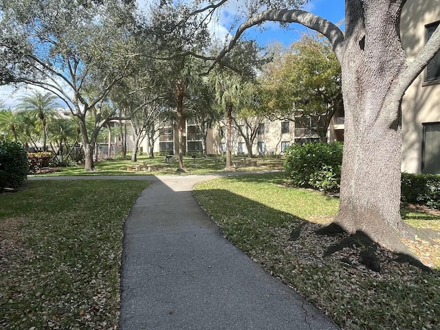 view of community with a yard