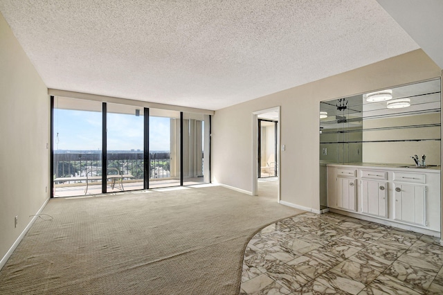 empty room with expansive windows, sink, a textured ceiling, and light carpet