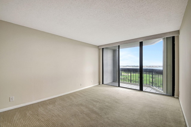 carpeted spare room with a wall of windows and a textured ceiling