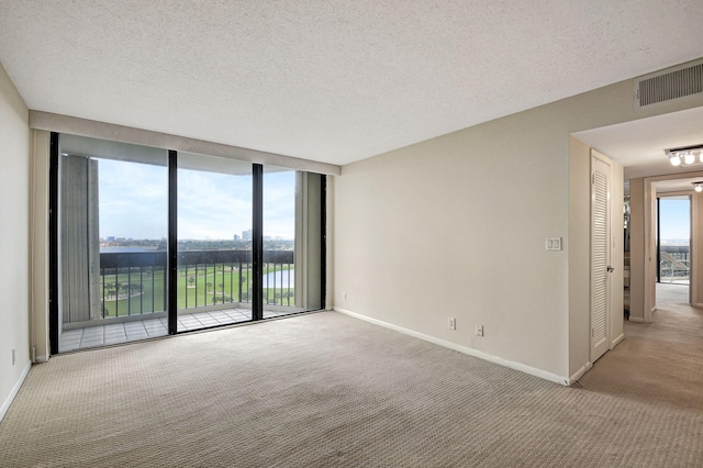 unfurnished room with light carpet and a textured ceiling