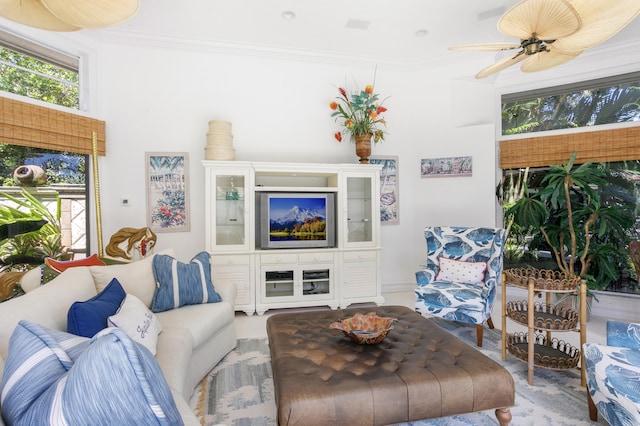 living room featuring crown molding and ceiling fan