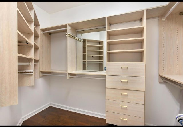 spacious closet featuring dark wood finished floors