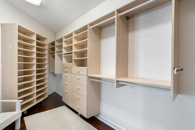 spacious closet with dark hardwood / wood-style flooring