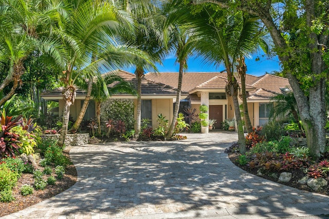 view of front facade featuring a tile roof, decorative driveway, and stucco siding