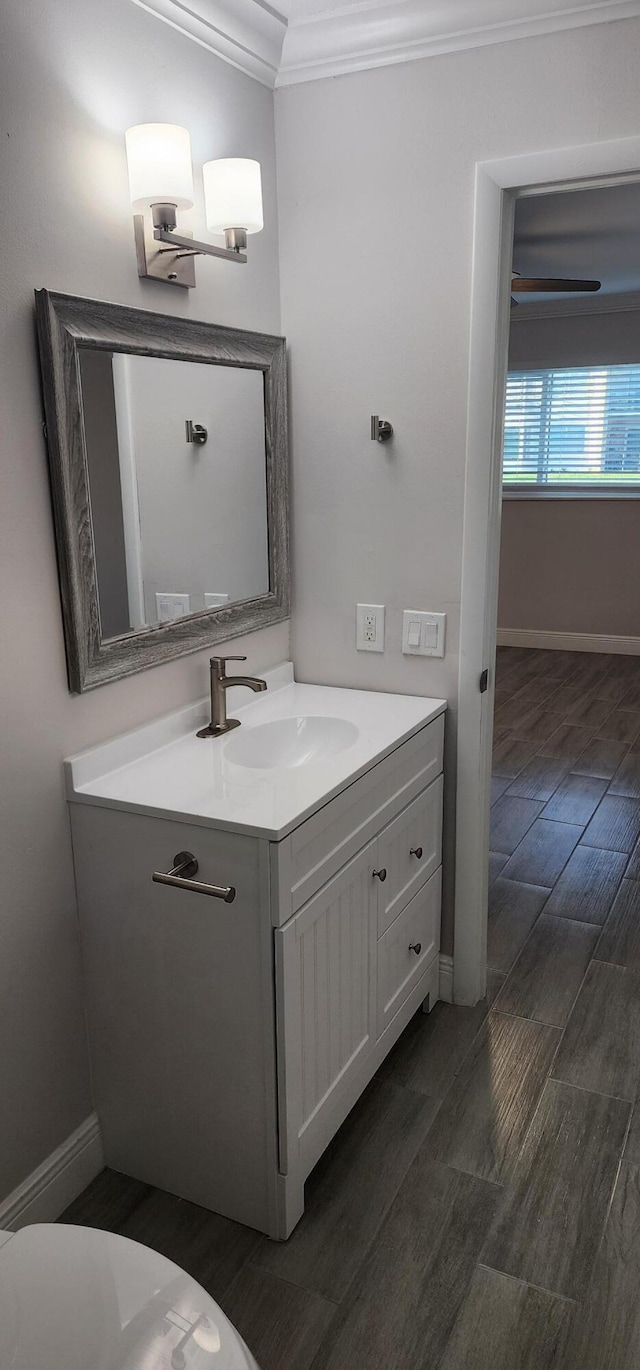 bathroom featuring crown molding, vanity, and wood-type flooring