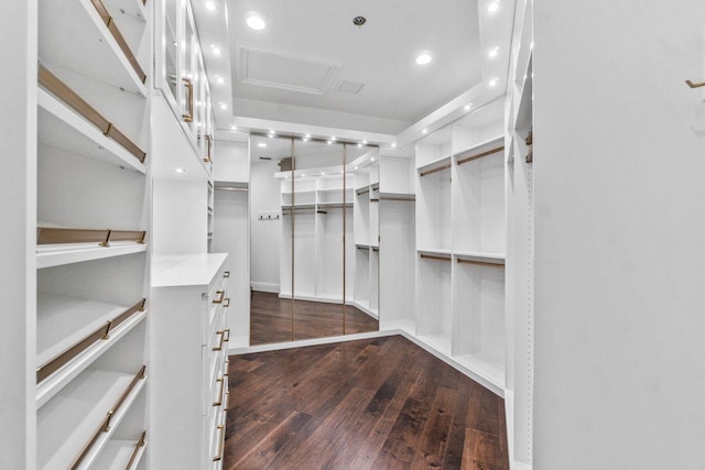 spacious closet featuring dark hardwood / wood-style flooring