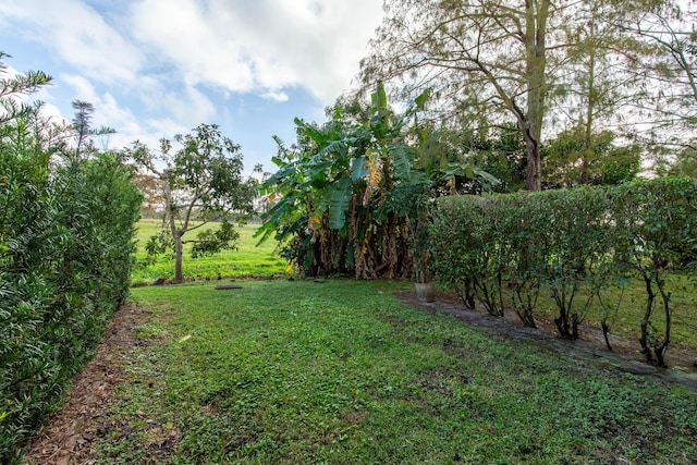 view of yard with a rural view