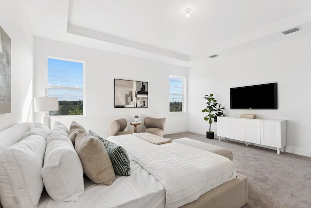 carpeted bedroom featuring a raised ceiling