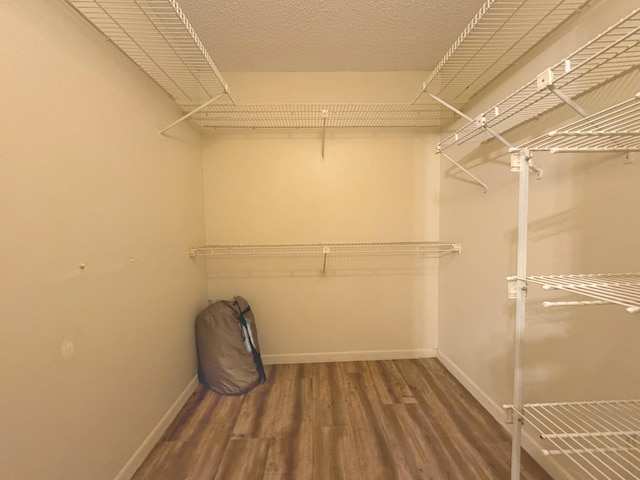 spacious closet featuring hardwood / wood-style floors