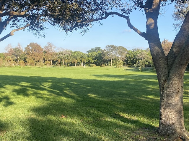 view of property's community with a yard