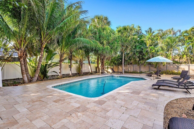 view of pool featuring a patio