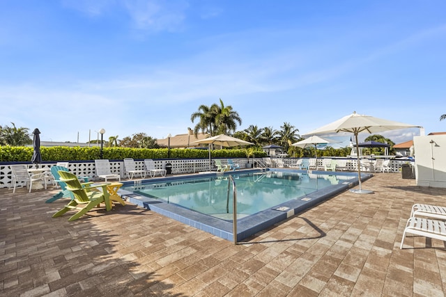 view of pool featuring a patio