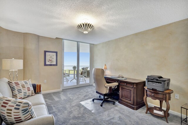 office space with a textured ceiling, expansive windows, and light carpet