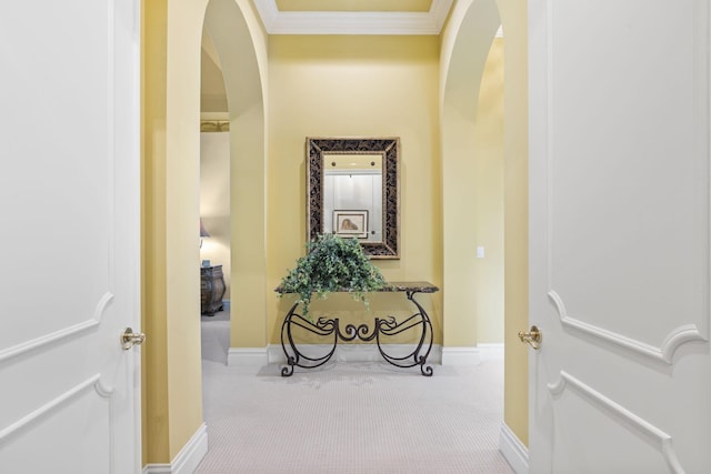 hallway featuring carpet floors and crown molding