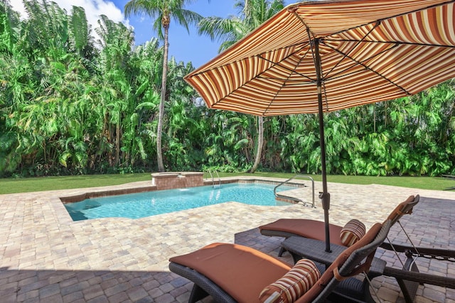 view of pool with pool water feature and a patio area