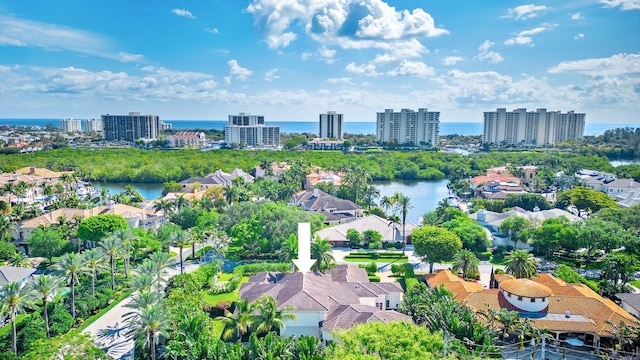 bird's eye view with a water view