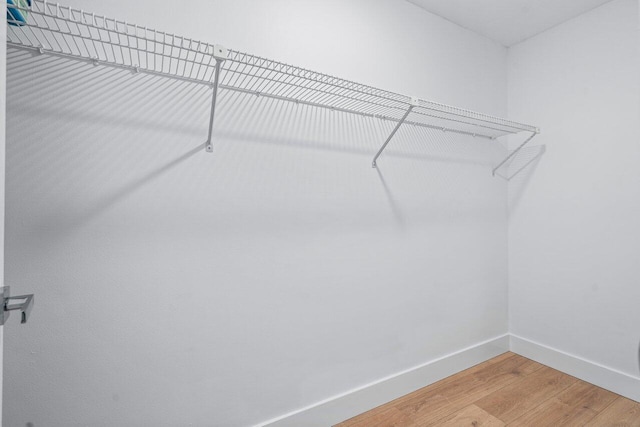 spacious closet featuring hardwood / wood-style floors