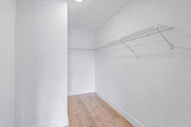 walk in closet featuring wood-type flooring