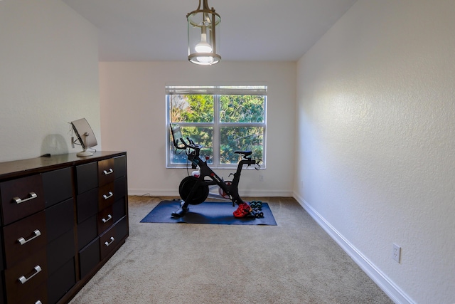 exercise area with light colored carpet