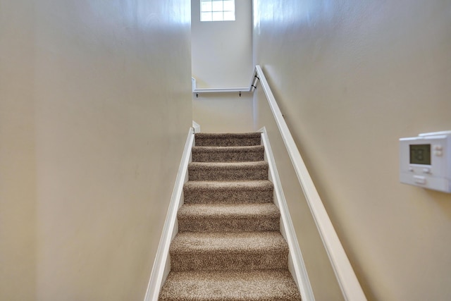 staircase with carpet floors