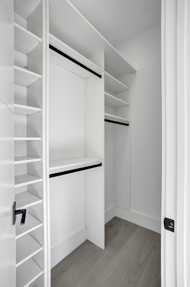 spacious closet featuring light wood-type flooring