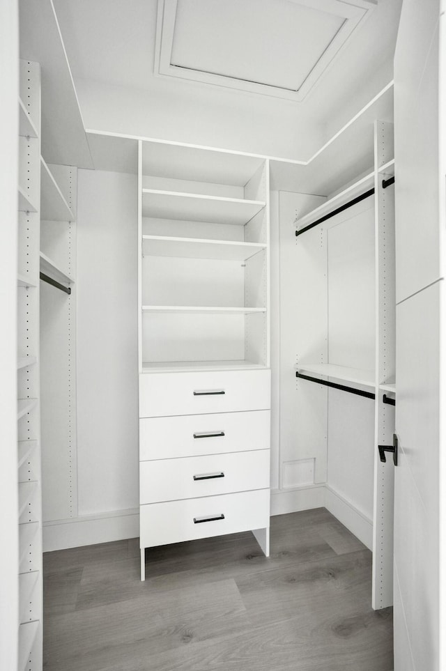 spacious closet featuring light hardwood / wood-style flooring