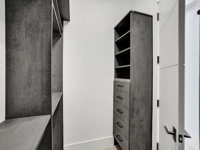 view of spacious closet