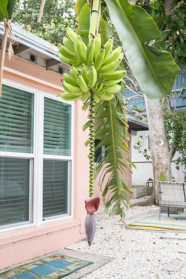 exterior space featuring a patio area