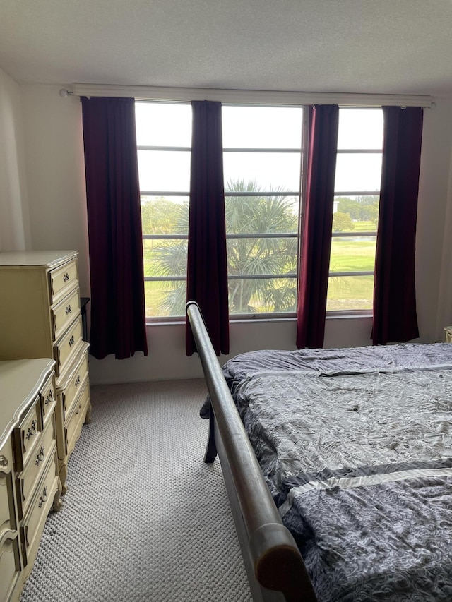 bedroom with light colored carpet