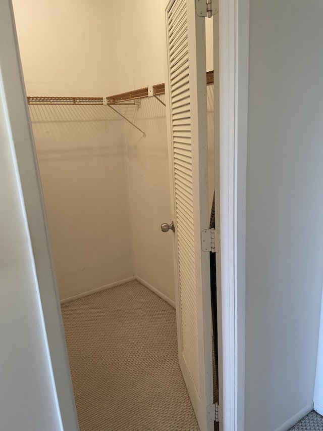 spacious closet featuring light carpet