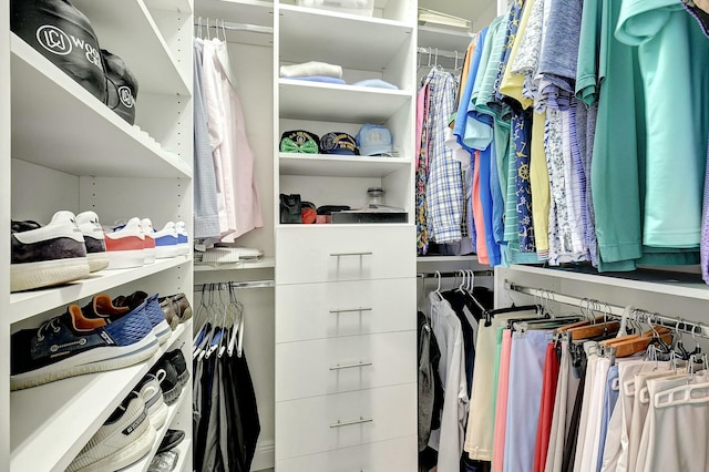 view of spacious closet