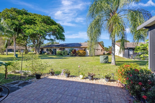 view of yard featuring a patio area