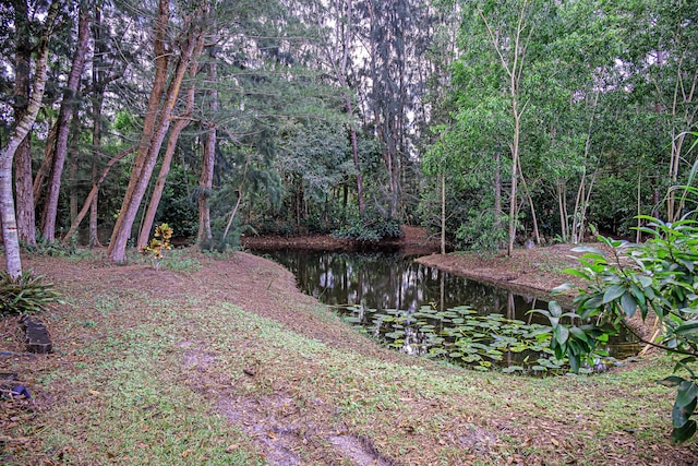 view of yard featuring a water view