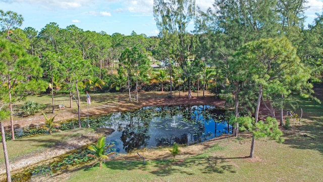 view of yard featuring a water view